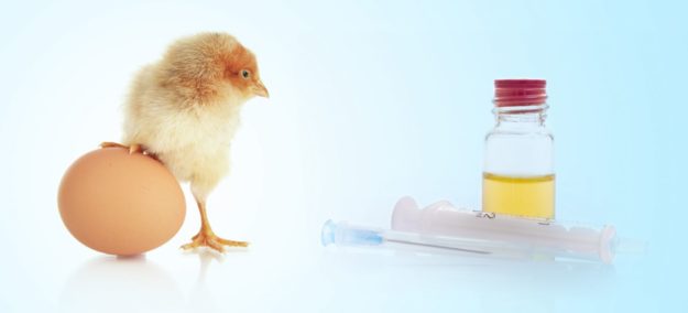EggFree-Vaccine